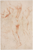 C 026
<br/>
Studies van staand vrouwelijk naakt en landschap
<br/>
<em>Canini, Giovanni Angelo (1617-1666) - toegeschreven aan</em>